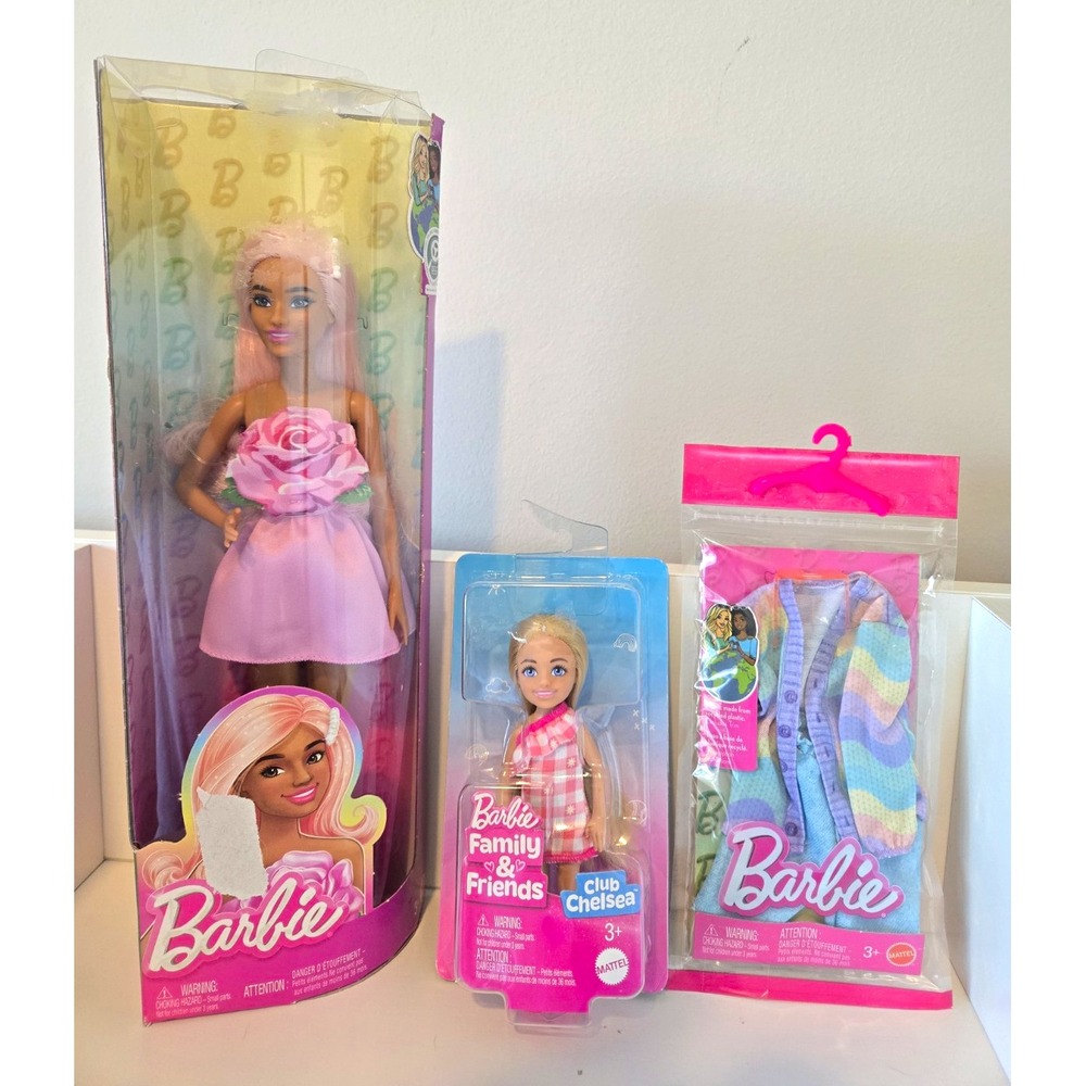 Barbie Bundle Lot Family & Friends Barbie Doll Club Chelsea Chelsea Fashion Pack